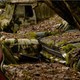 Illustration for article titled Another Massive Secret Vintage Junkyard Comes Under Fire